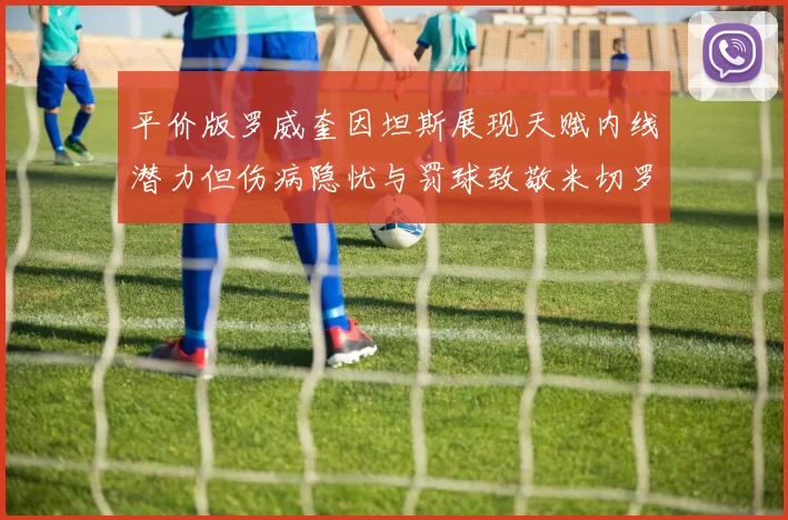 平价版罗威奎因坦斯展现天赋内线潜力但伤病隐忧与罚球致敬米切罗