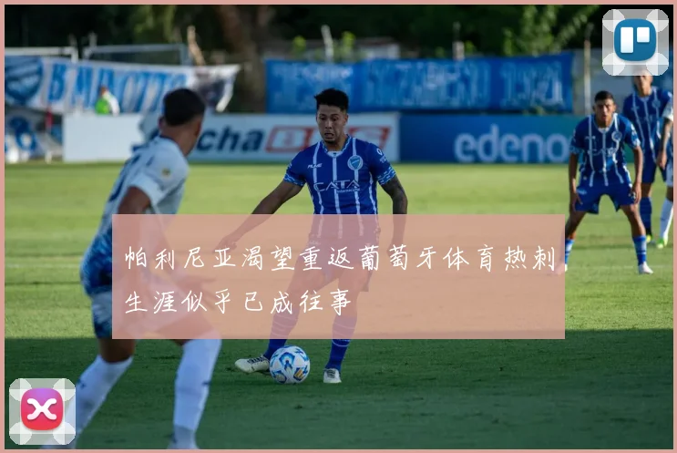 帕利尼亚渴望重返葡萄牙体育热刺生涯似乎已成往事