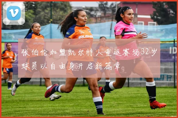张伯伦加盟凯尔特人重返赛场32岁球员以自由身开启新篇章