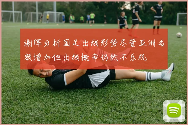 谢晖分析国足出线形势尽管亚洲名额增加但出线概率仍然不乐观
